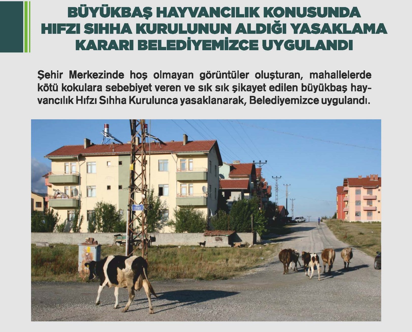 B�Y�KBA� HAYVANCILIK KONUSUNDA HIFZI SIHHA KURULUNUN ALDI�I YASAKLAMA KARARI BELED�YEM�ZCE UYGULANDI